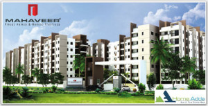 Mahaveer Rhyolite