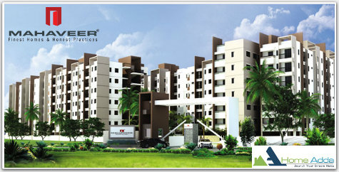 Mahaveer Rhyolite