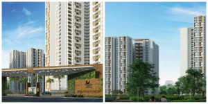 Prestige Falcon City