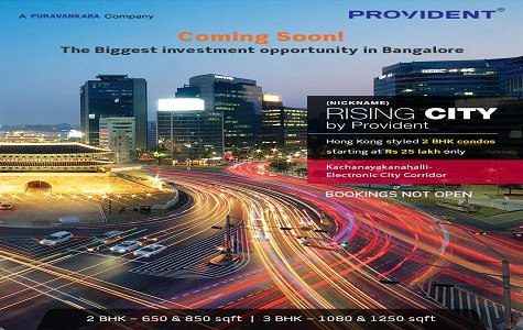 Provident Rising City