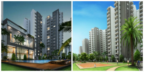 Purva 270