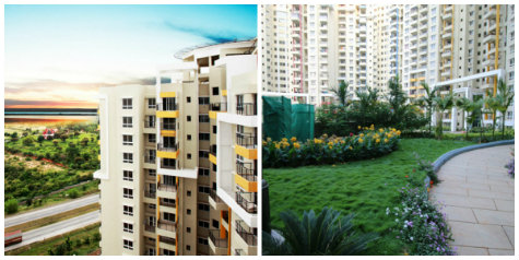 Purva Highland