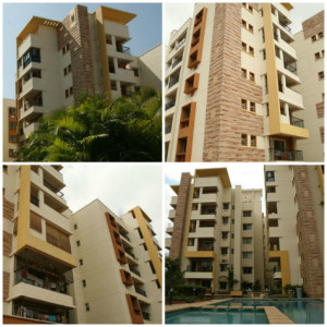Sobha Sunflower