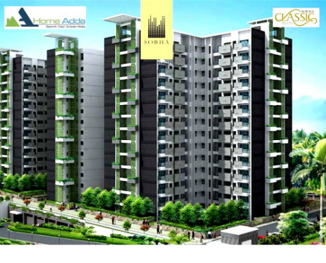 Sobha classic