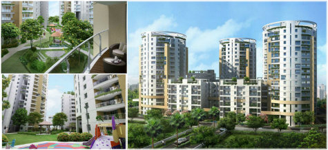 Vaswani Reserve