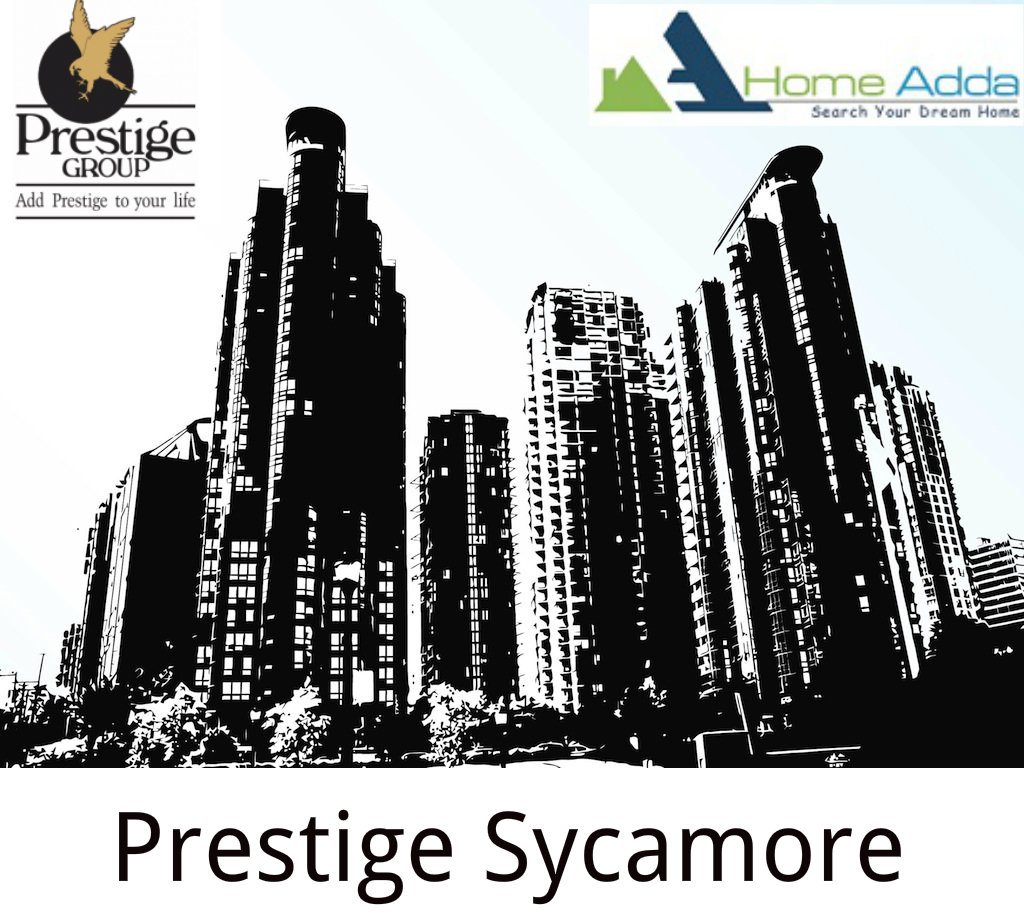 Prestige Sycamore