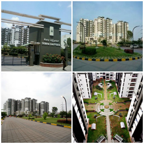 Sobha Daffodils