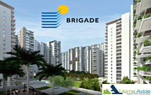 Brigade Begonia