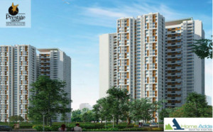 Prestige Falcon City