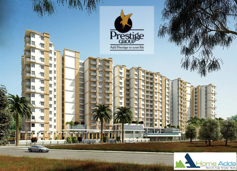 Prestige Pinewood