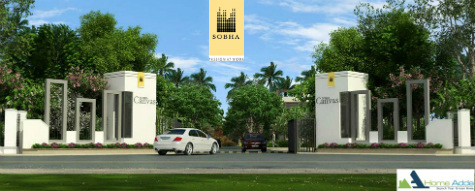 Sobha Canvas