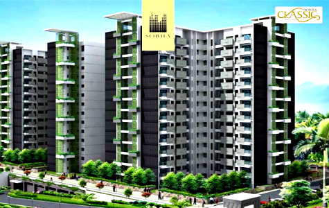 Sobha classic